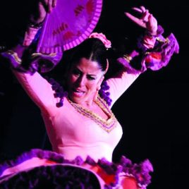 Elena Carambo // FLAMENCO SHOW