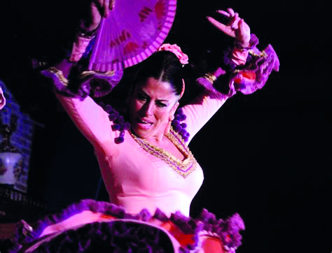 Flamencologic & Schnupperstunde // VORTRAG und WORKSHOP